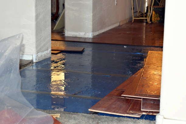 Professional Burst Pipe Cleanup technician working in Schurz, NV